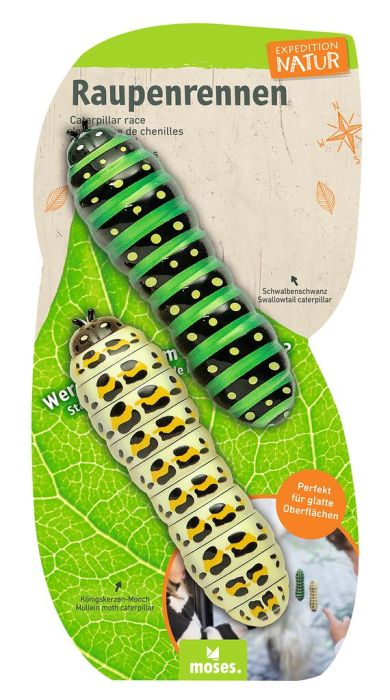 Moses - Expedition Natur Raupenrennen 🐛🌿