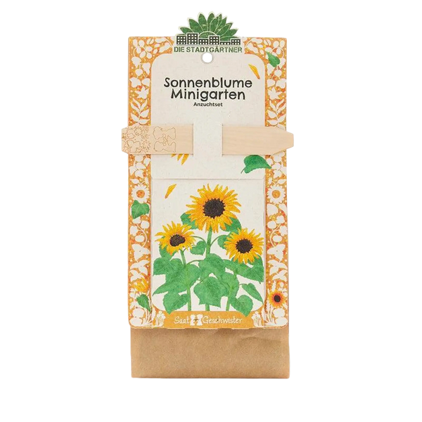 Die Stadtgärtner - Minigarten - Sonnenblume