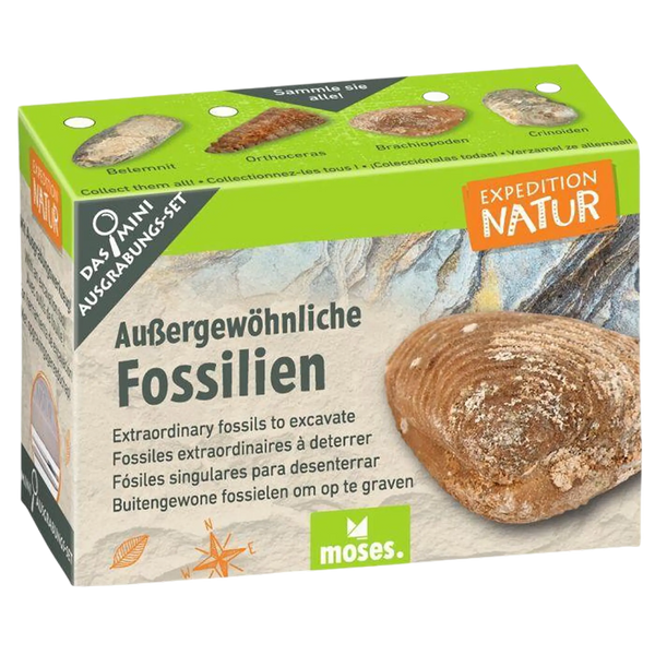 Expedition Natur Mini-Ausgrabungsset