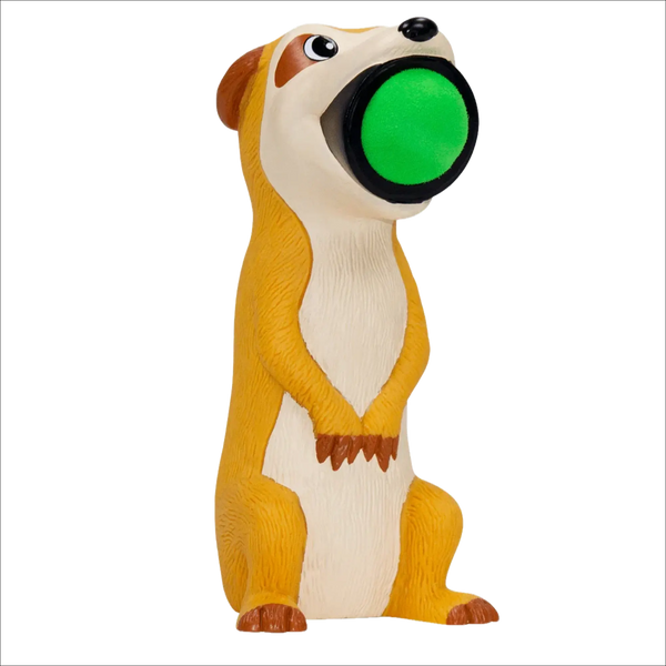 Leif - Erdmännchen Plopper