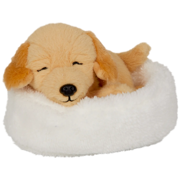 Schlafender Hund Isi im Körbchen – Kuscheliger Begleiter für kleine Tierfreunde