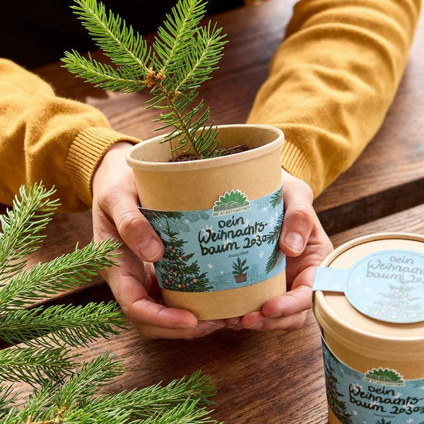 Die Stadtgärtner - Weihnachtsbaum aus dem Becher - Anzuchtset - Makimo - Smart Kids