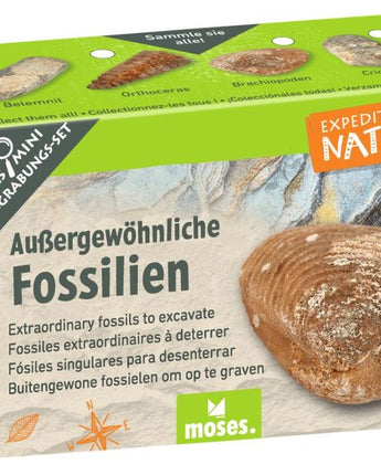 Expedition Natur Mini-Ausgrabungsset