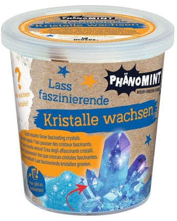 PhänoMINT - Kristalle züchten