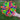 Magische Sphäre – Expandierende Kugel in Regenbogenfarben