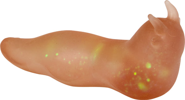 Space-Schnecke – Wild+Cool