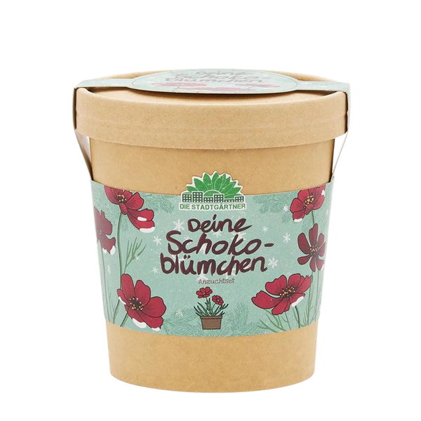 Die Stadtgärtner - Schokoblumen aus dem Becher - Anzuchtset