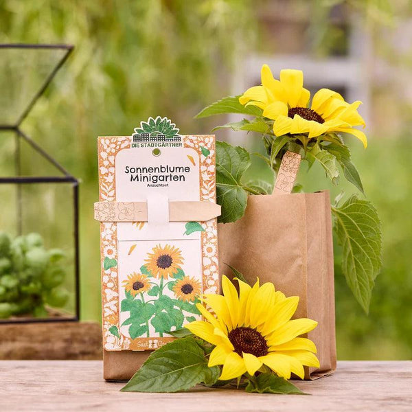 Die Stadtgärtner - Minigarten - Sonnenblume - Makimo - Smart Kids