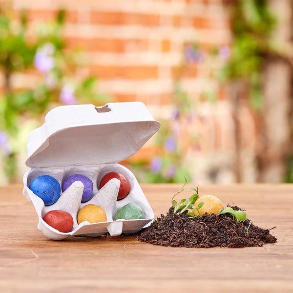 Die Stadtgärtner - Osterblumen Blumenmurmeln, 6 Stück in Pappschachtel (Wachtelschachtel) - Makimo - Smart Kids