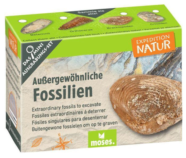 Expedition Natur Mini-Ausgrabungsset - Makimo - Smart Kids