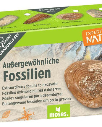 Expedition Natur Mini-Ausgrabungsset - Makimo - Smart Kids