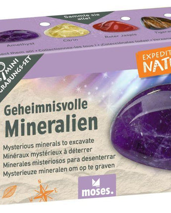 Expedition Natur Mini-Ausgrabungsset - Makimo - Smart Kids