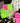 My Day My Dream - Socken - Neon Collection - Dad Neon - Makimo - Smart Kids